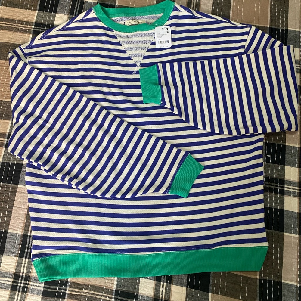 We The Free Striped Crewneck Sweater with Green Accents